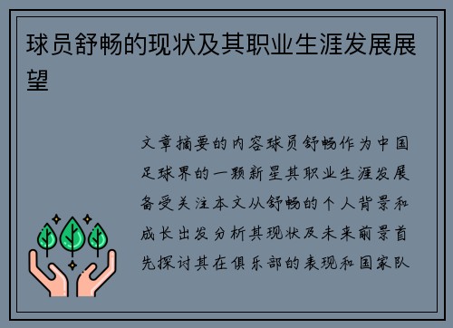 球员舒畅的现状及其职业生涯发展展望